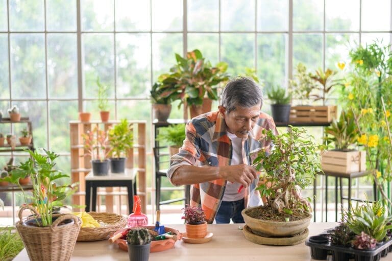 Why Bonsai Gardening Appeals to Minimalists and Nature Lovers Alike
