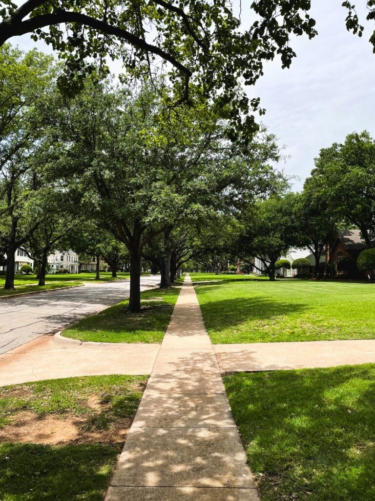The Homeowner’s Guide to a Cleaner Driveway and Sidewalk
