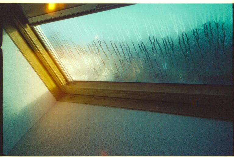 Signs Your Home Might Have Hidden Moisture Problems