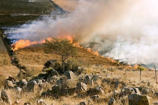 How Do I Apply for a Wildfire Claim?