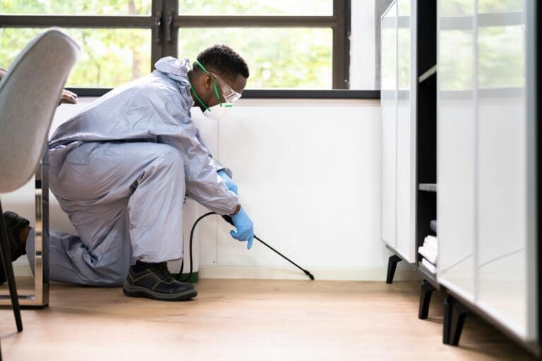 Pest Control Near Me: What to Expect From a Local Exterminator