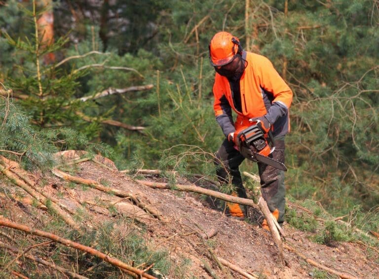 The Role of Emergency Crews in Storm Restoration Efforts