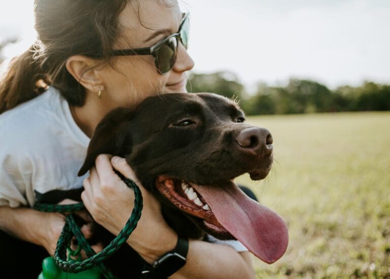 How to Choose a Reliable and Loving Pet Sitter Near You