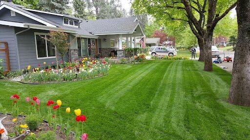 How to Create a Low-Maintenance Yard That Still Looks Great