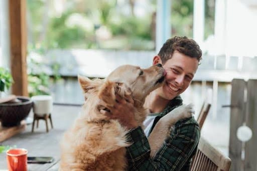 Top 5 Holistic Approaches to Pet Wellness