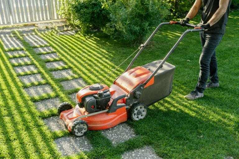 Sustainable Lawn Maintenance Practices for the Modern Home
