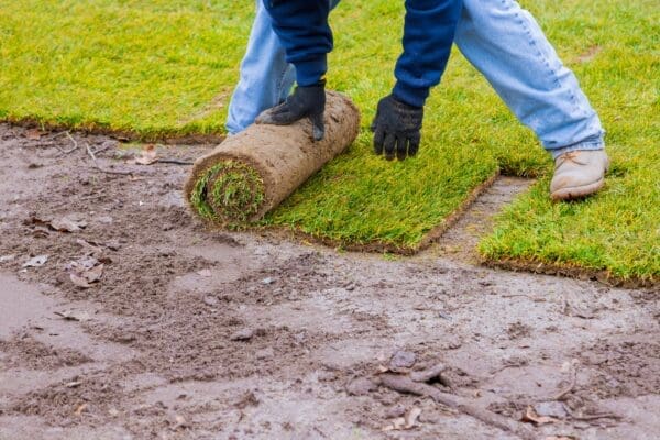 Modern Turf Maintenance Practices: Enhancing Lawn Health and Sustainability