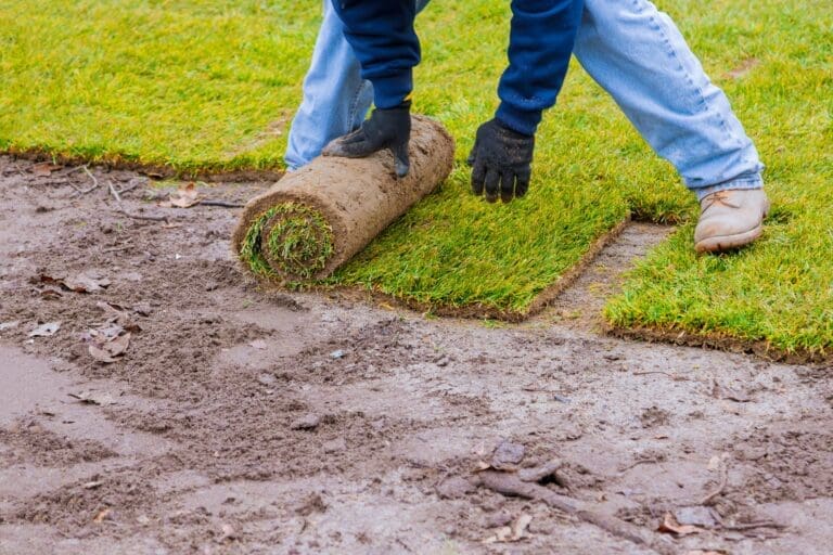 Modern Turf Maintenance Practices: Enhancing Lawn Health and Sustainability