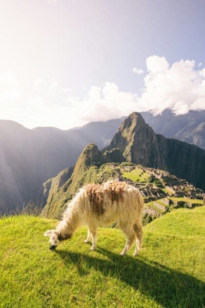 Ten Best Things to Do in Machu Picchu