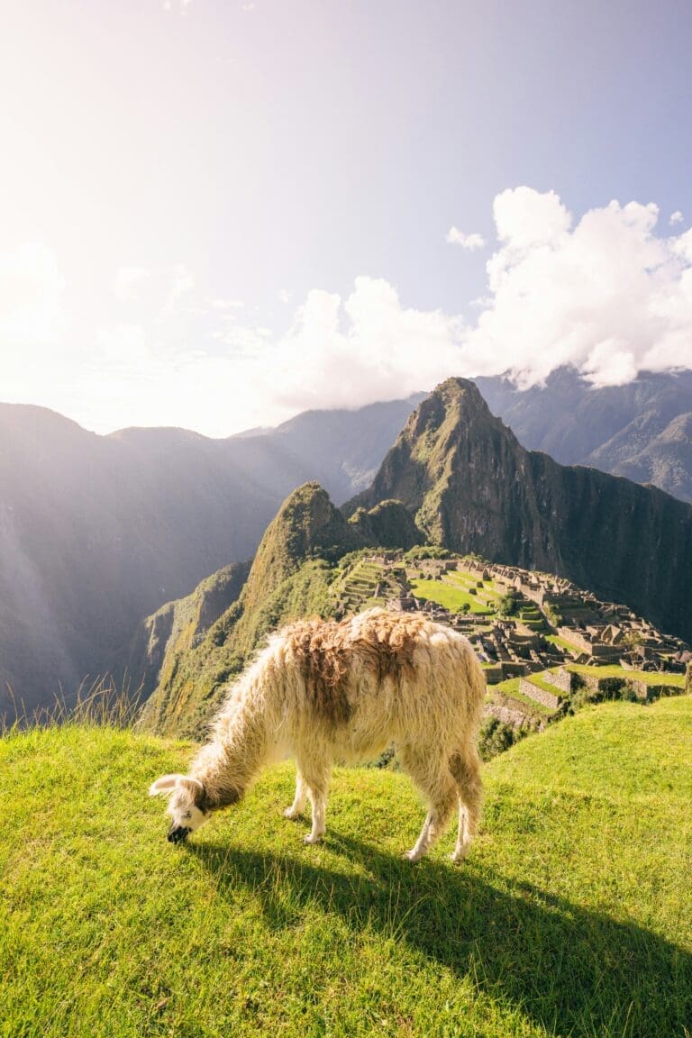 Ten Best Things to Do in Machu Picchu