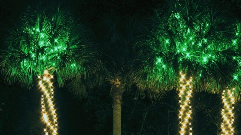 Coastal Décor Meets Christmas Cheer: Beach-Inspired Holiday Style
