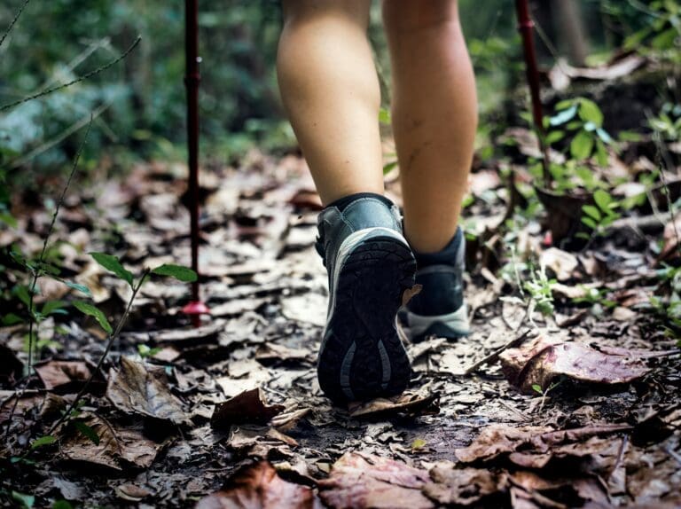 5 Great Reasons to Improve One’s Life Thanks to the Purchase of a Walking Stick
