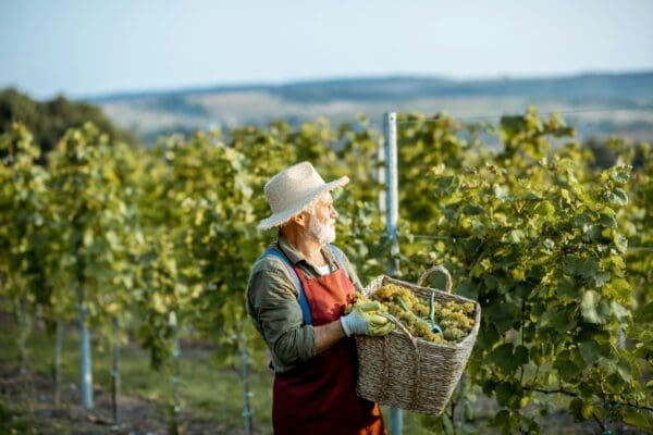 Understanding Seasonal Worker Accommodation
