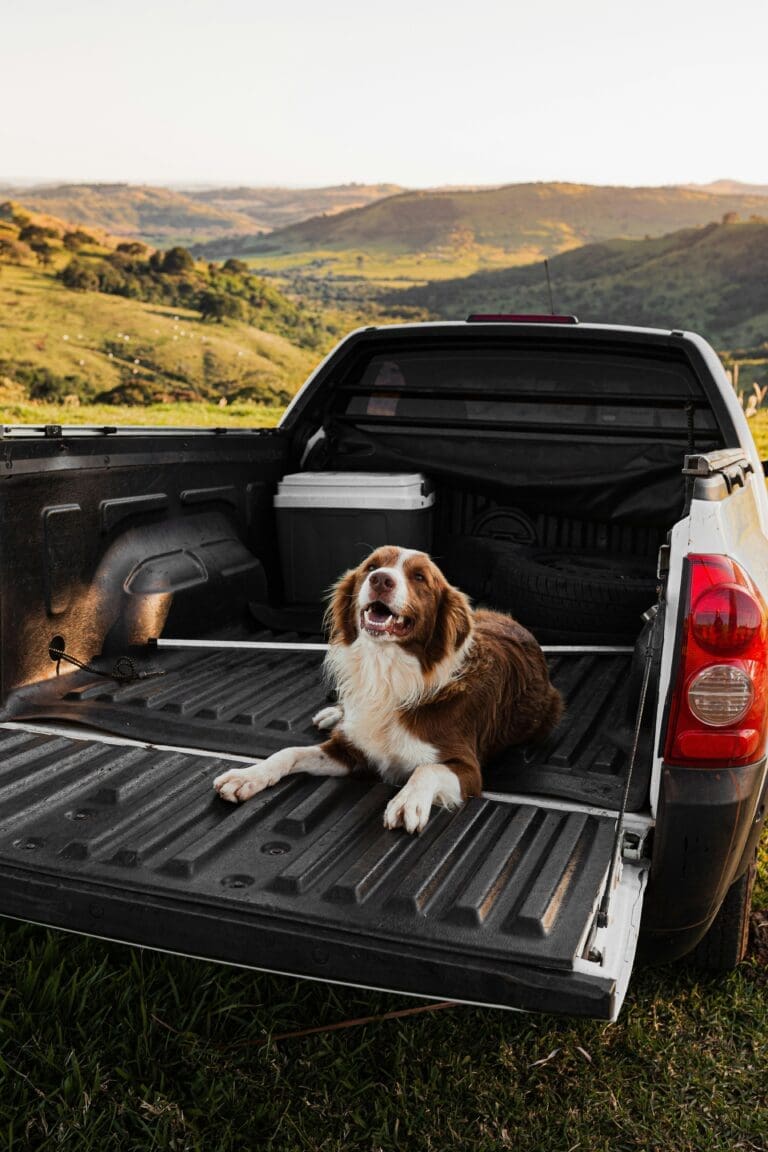 Best Tips for Buying Used Trucks Like a Pro