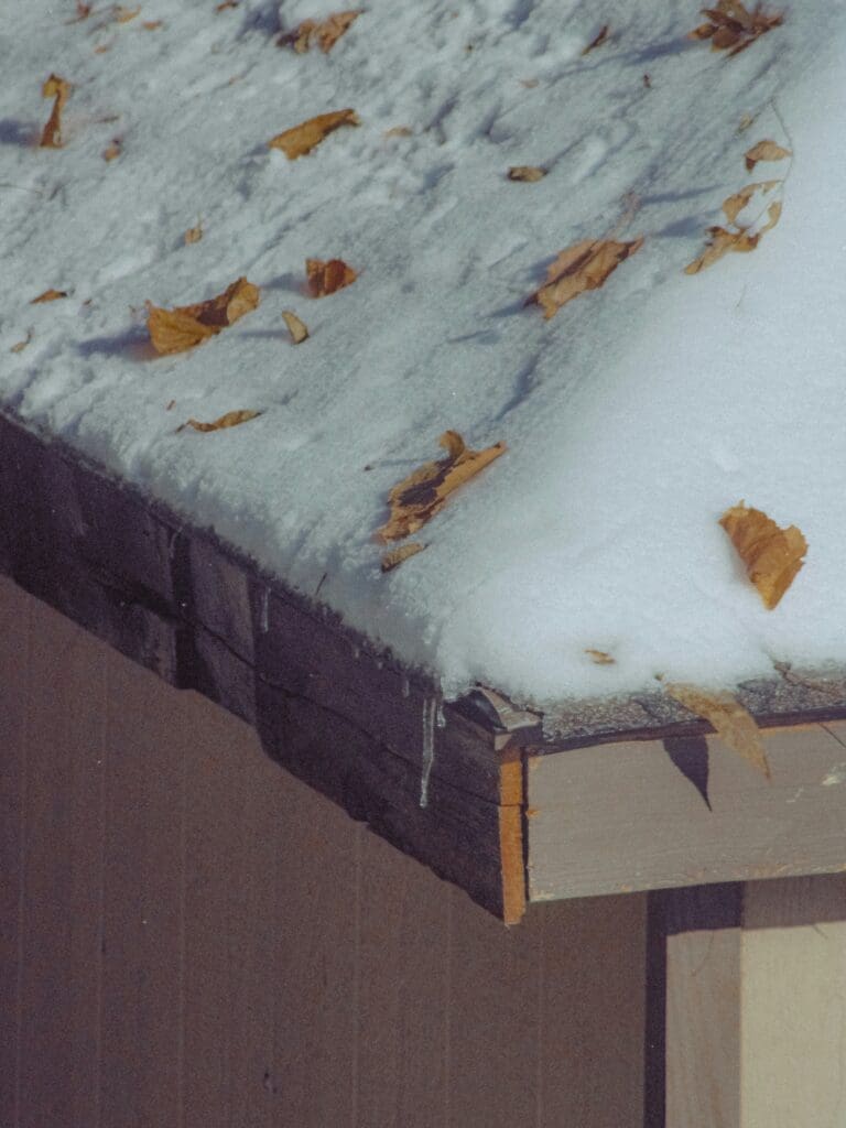 How Seasonal Changes Affect Your Roof: Maintenance Tips for Every Season