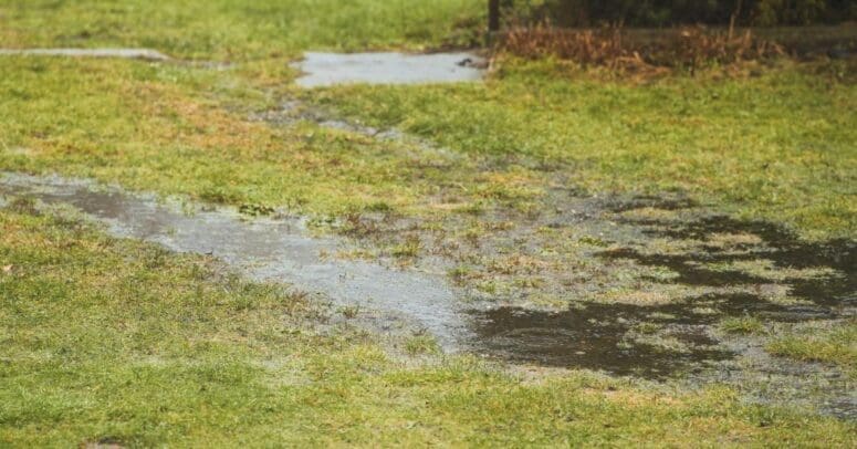 What To Do if Your Property Has Poor Drainage