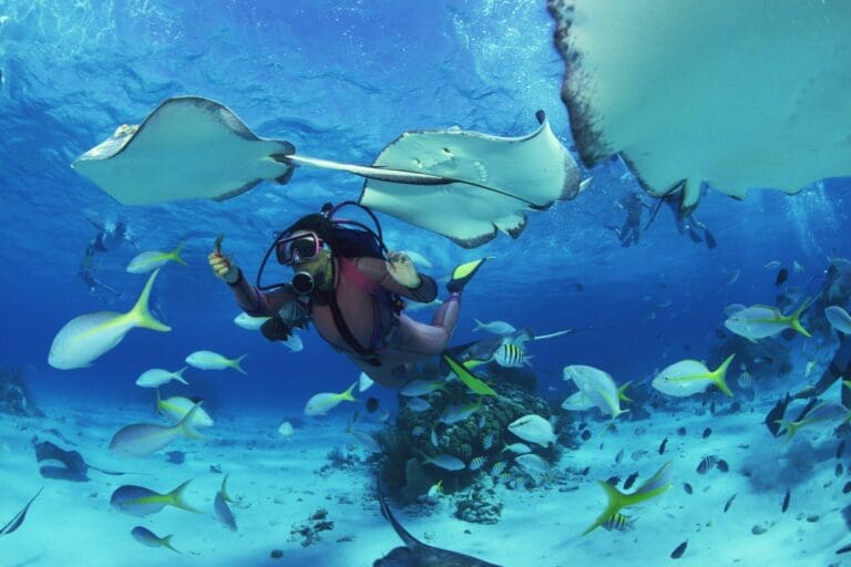 A Traveler’s Guide to Booking a Niihau Snorkeling Tour