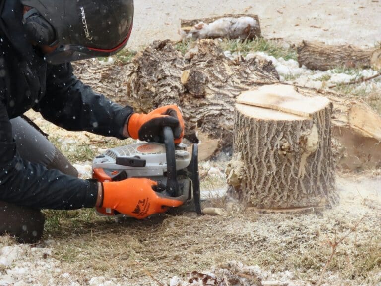Stump Grinding vs. Complete Tree Removal: Pros and Cons