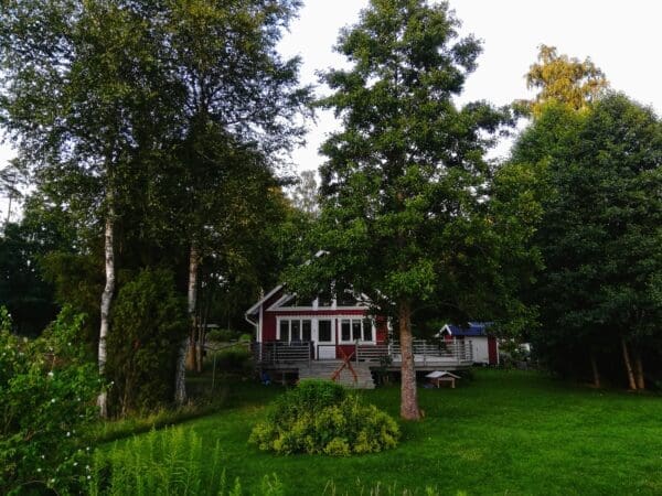 Understanding Tree Risk Assessments: Keeping Your Property Safe
