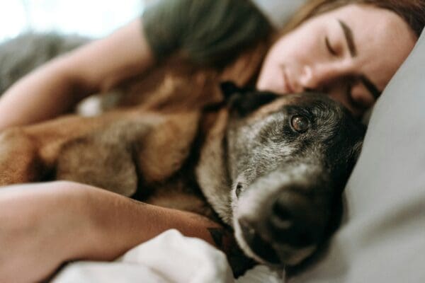 Discover the Benefits of Sleeping with Your Dog: A Feel-Good Guide