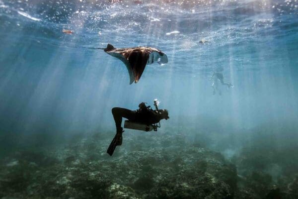 Prioritizing Safety and Education for Underwater Exploration
