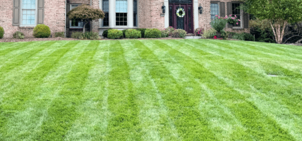 Does Temperature Matter For Your Lawn Treatments? Cincinnati Landscaper Explains