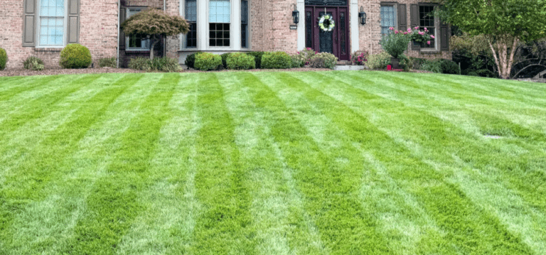 Does Temperature Matter For Your Lawn Treatments? Cincinnati Landscaper Explains