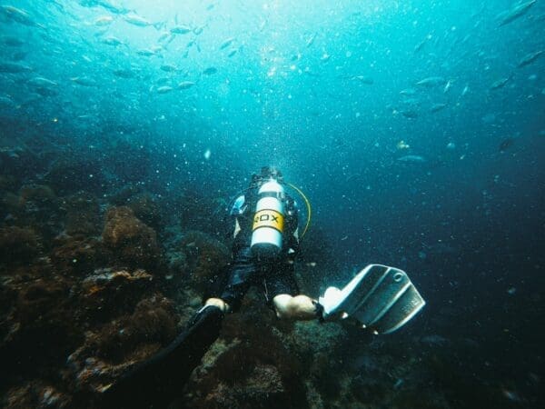 Prioritizing Safety and Education for Underwater Exploration