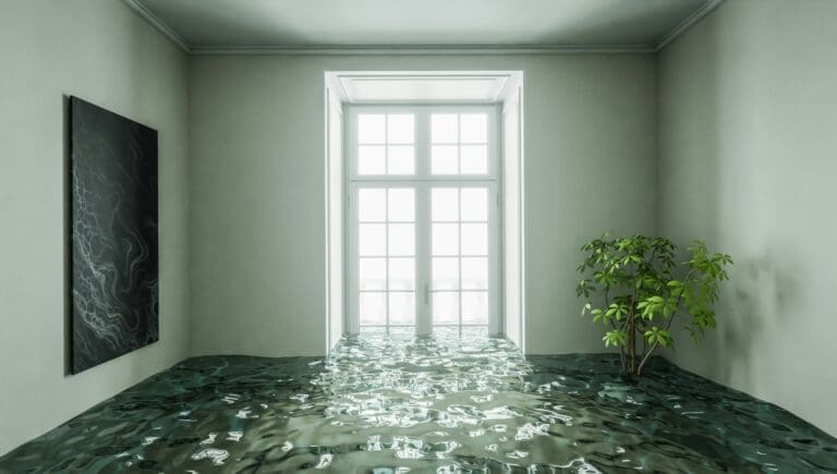Minimizing Water Damage at Home: Practical Steps and Proactive Solutions