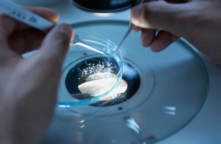 Fertility Preservation: Egg and Sperm Freezing Explained