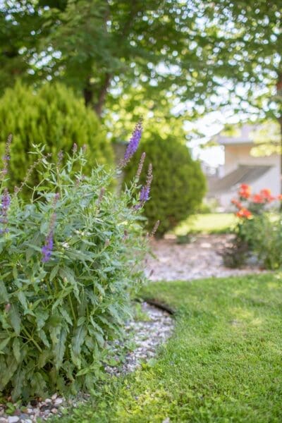 Landscaping Ideas That Make a Big Impact