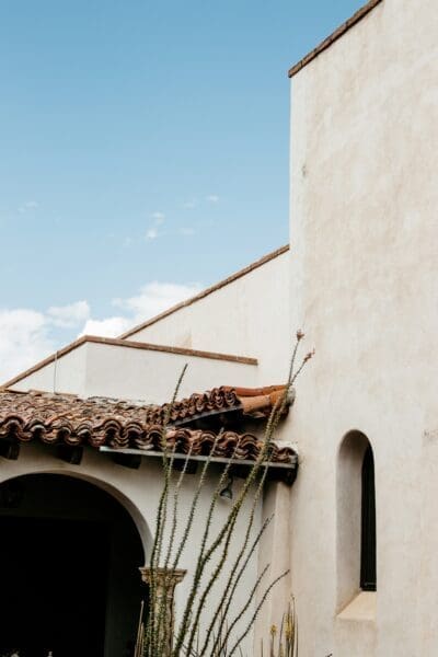 Can You Sue Your Landlord for Mold Exposure? 