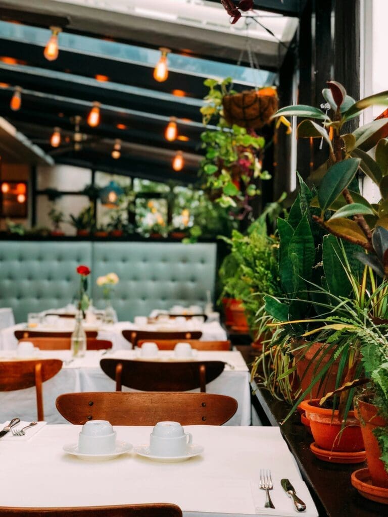 Budget-Friendly Ways to Make Your Restaurant Look Premium Without Overspending