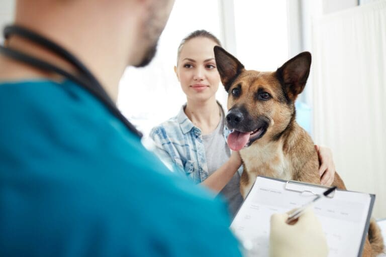The Growing Trend Of Wellness Plans In Veterinary Clinics