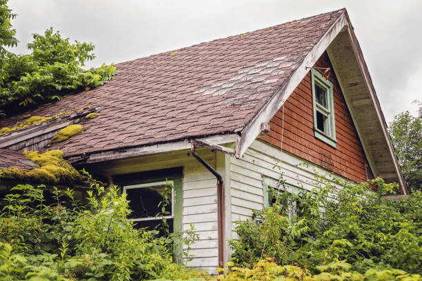 Unique Exterior Challenges Faced By Austin Homeowners