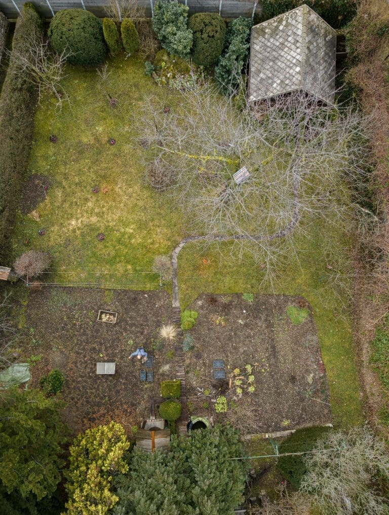 6 Hidden Dangers Lurking in Overgrown UK Gardens