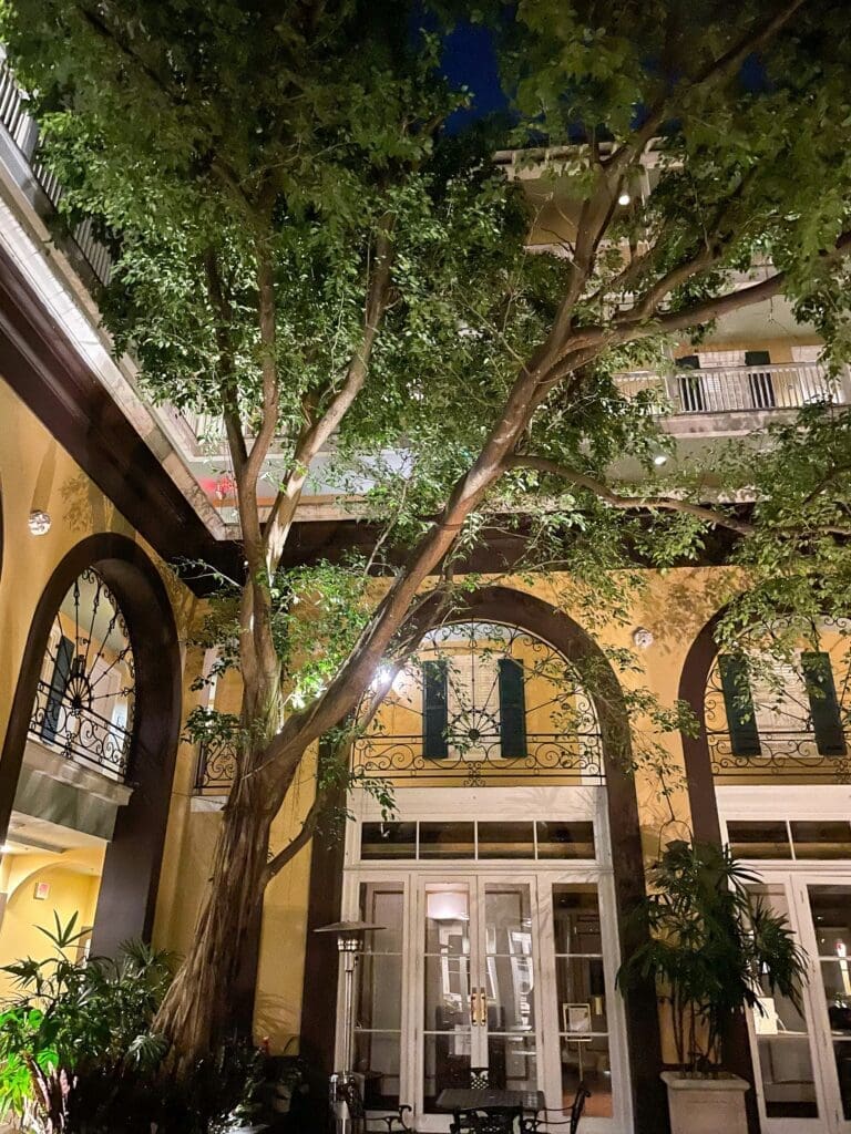 Top Hotels in New Orleans in 2026