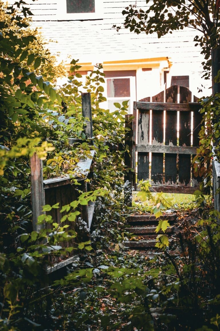 What You Need to Know Before Planning a Backyard Renovation