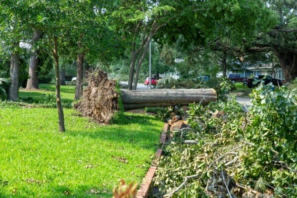 Comprehensive Guide to Post-Storm Recovery: Steps for a Safer, Smoother Cleanup