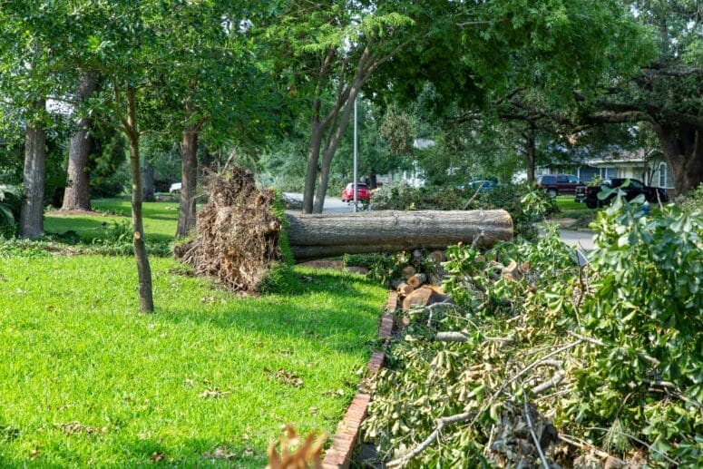 Comprehensive Guide to Post-Storm Recovery: Steps for a Safer, Smoother Cleanup