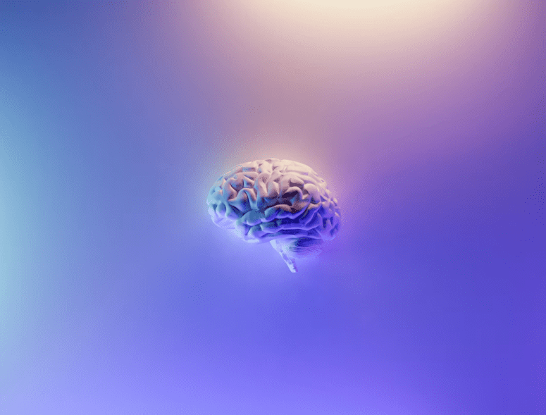 8 Proven Ways To Protect Your Brain's Health And Quality As You Get Older