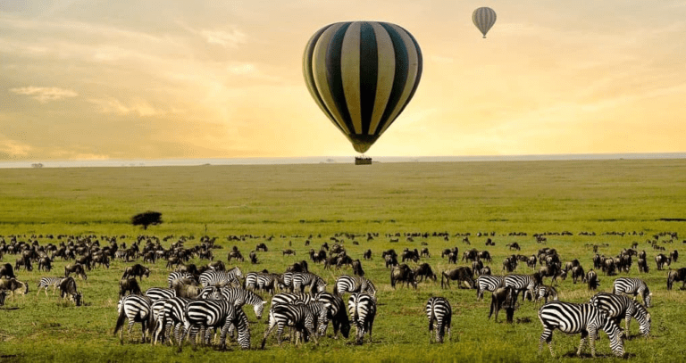 Tanzania Honeymoon Safari: Go Beyond With the Best Romantic Getaway