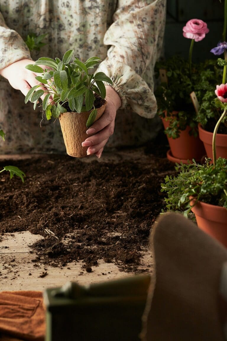 Sustainable Gardening: How to Grow a Thriving Eco-Conscious Garden