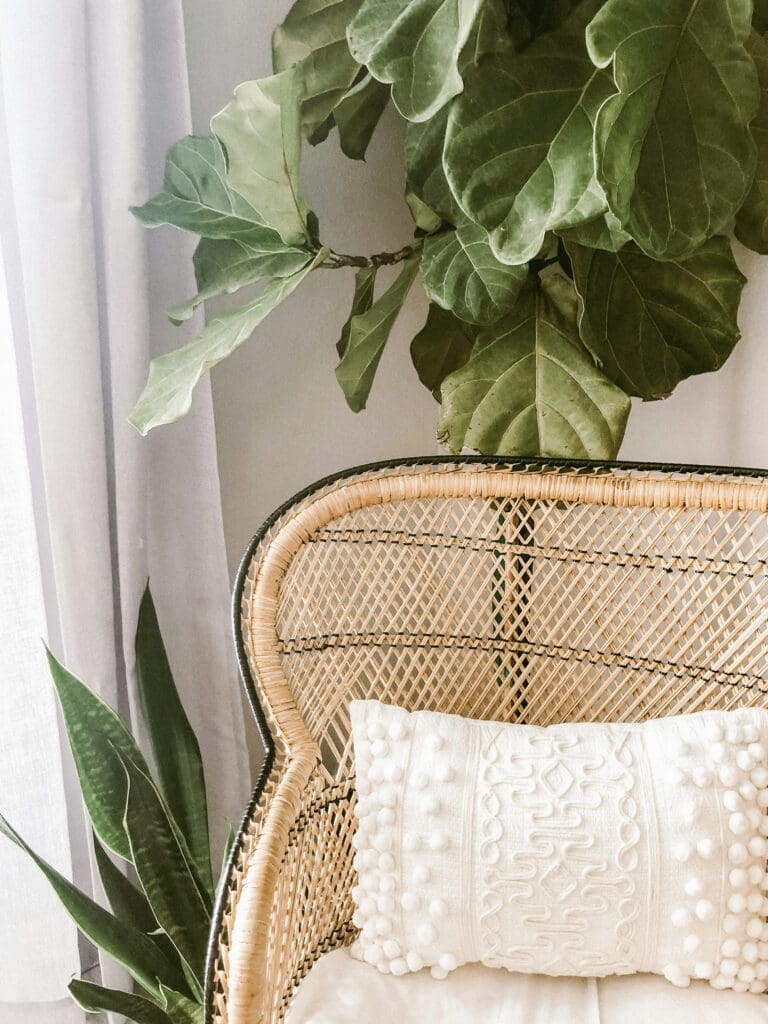 Elevate Your Event with Rattan Furniture Rentals