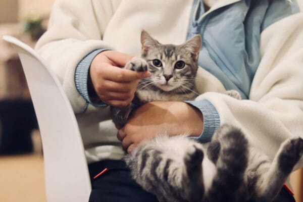 4 Common Services Offered At A General Veterinary Clinic