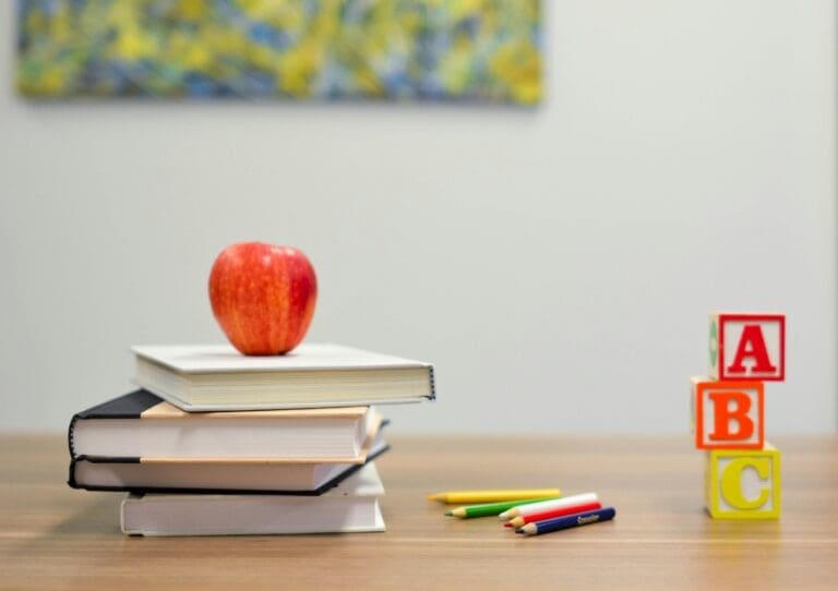 IB Program vs Traditional Education: Which Path Is Right for Your Child?
