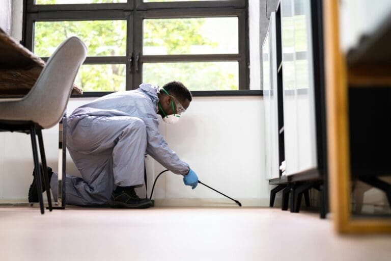 Chandler’s Complete Home Protection Network: 5 Leaders in Pest Control and Property Care