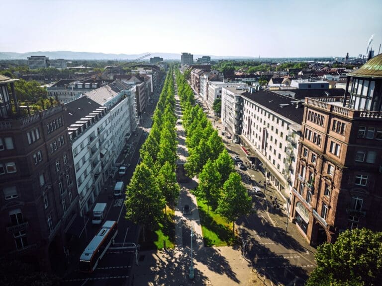 The Role of Urban Trees in Building Healthier Communities