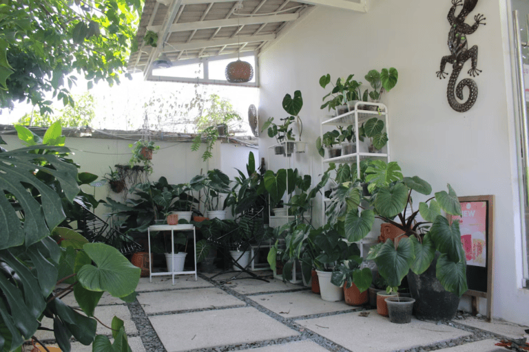 DIY Garden Projects That Save You Money